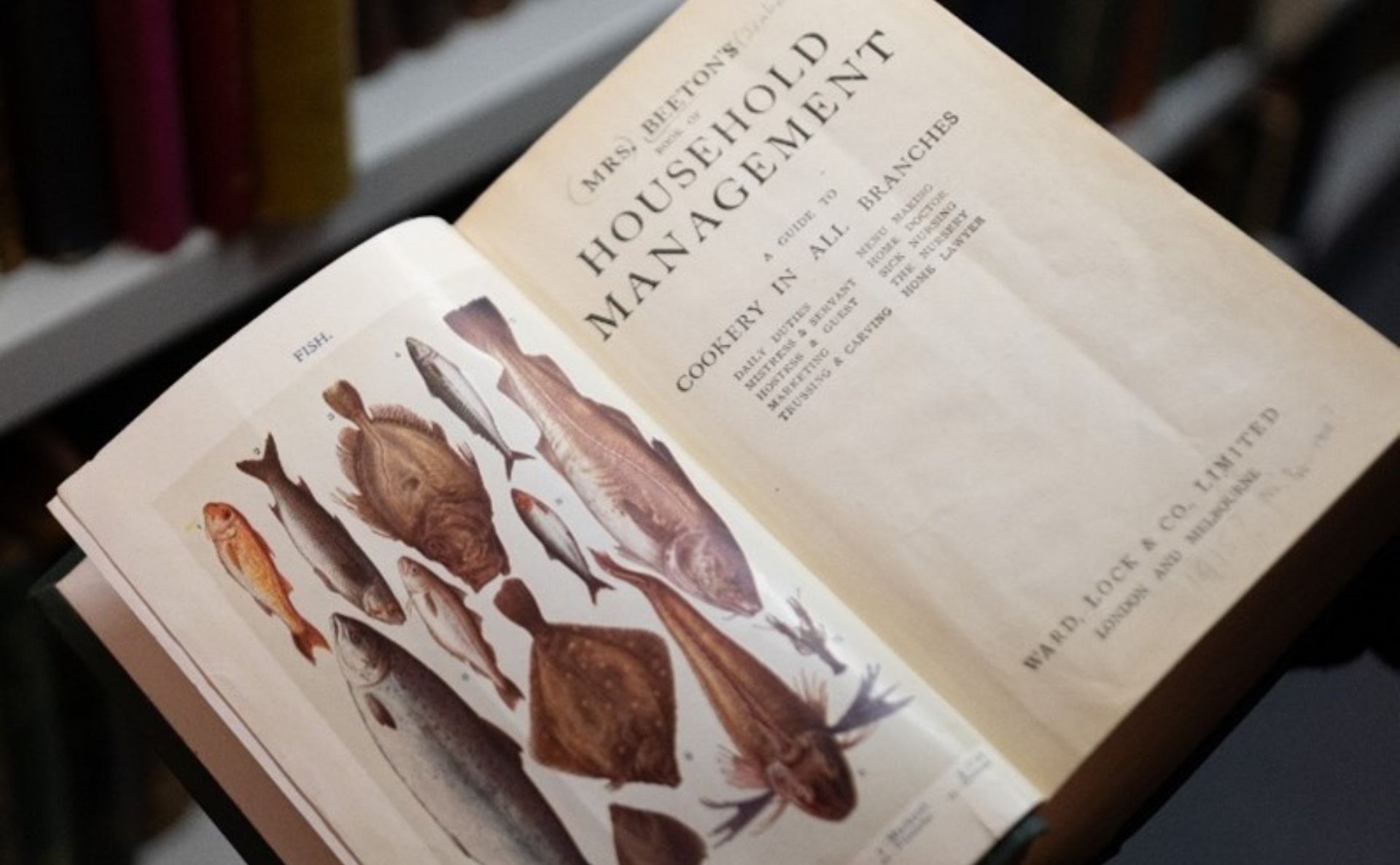 Image 5 Library fund 2025